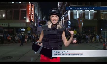 ‘The Daily Show’s Desi Lydic On Tapping Into Her “Woman On The Verge” Energy For ‘Desi Lydic Foxspla – Famous Bdays