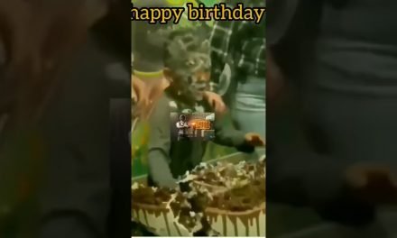 small boy happy birthday comedy shorts – Birthday Songs