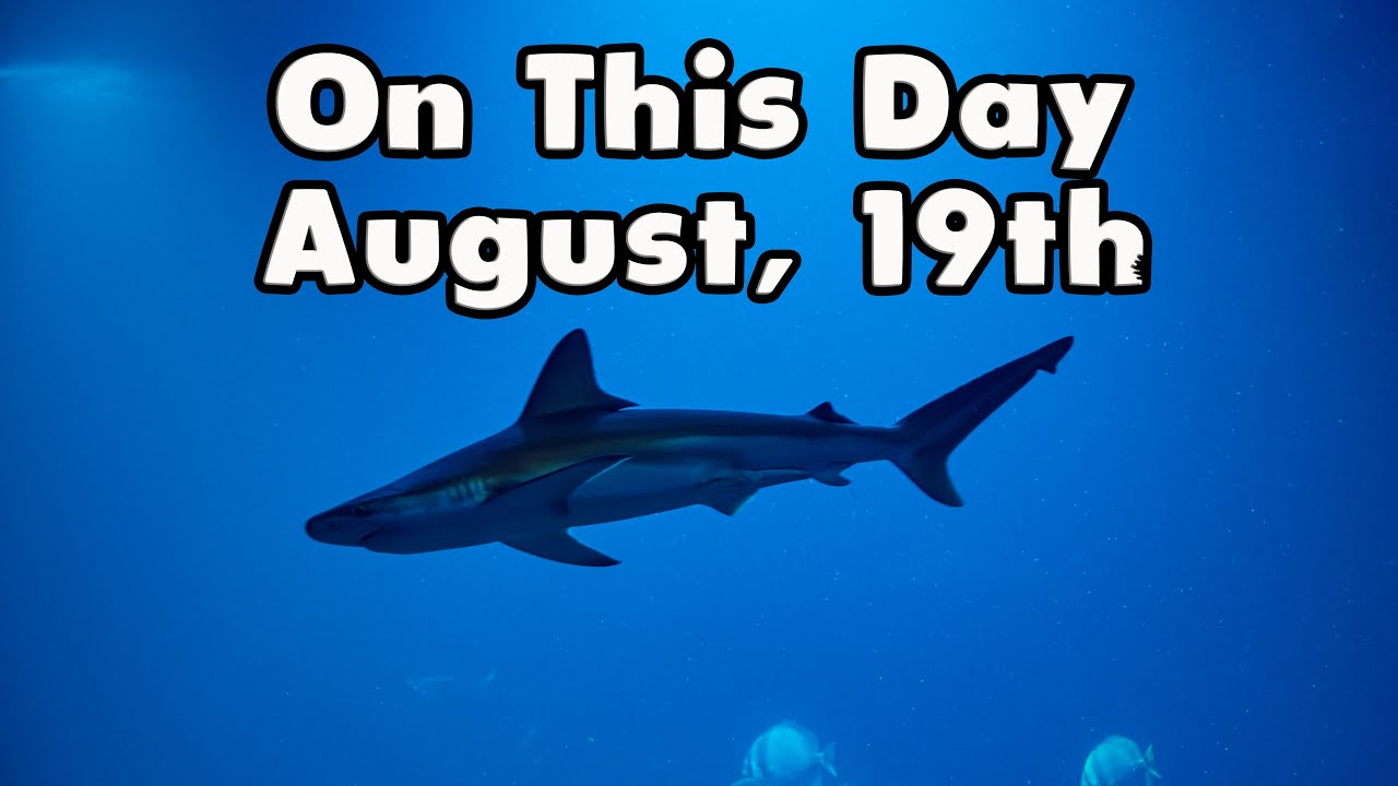 August 19th. Shark Tank, Orangutan Day, Gary Powers – Famous Bdays