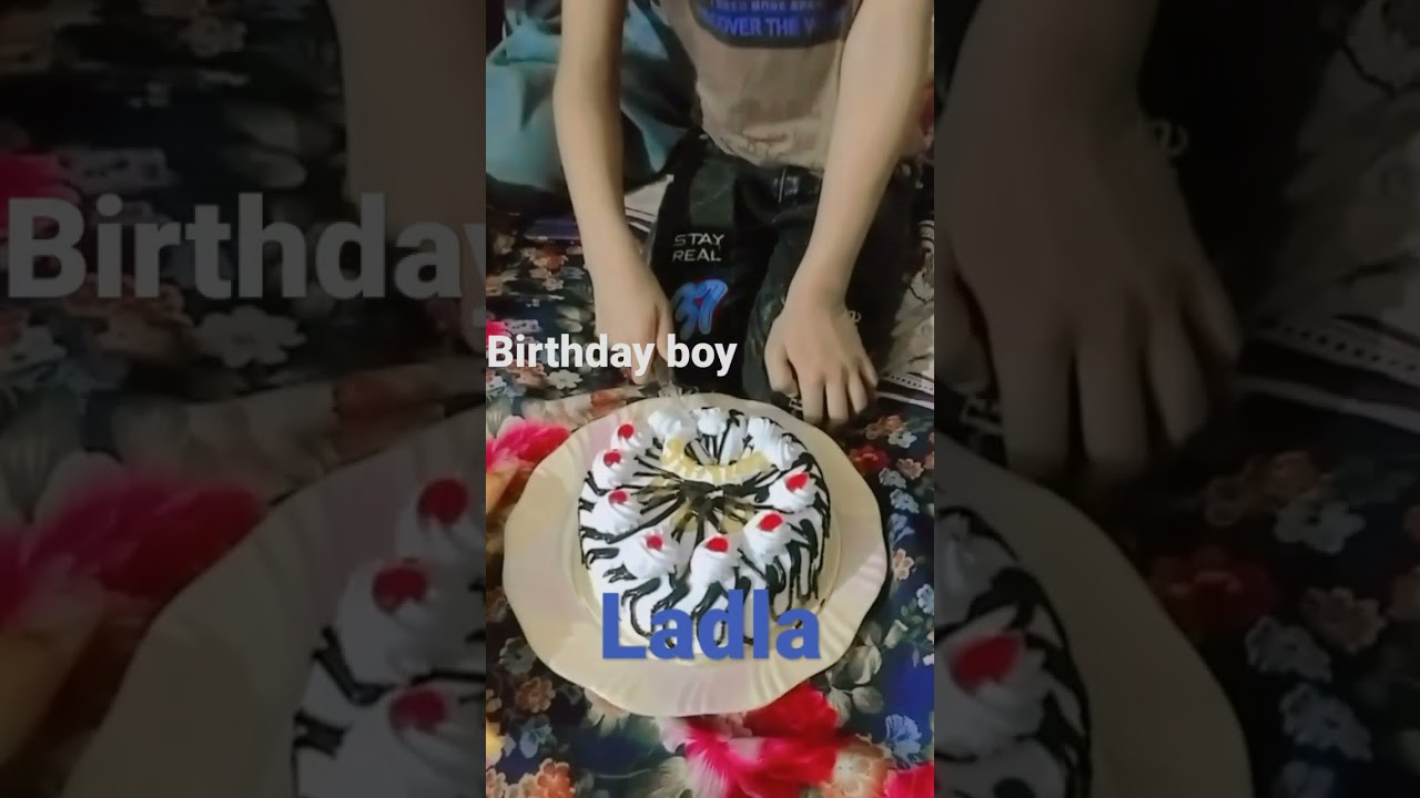 birthday boy|| ladla #yt #shorts #birthdaycake #celebration #little #hero #celebrity – Famous Bdays